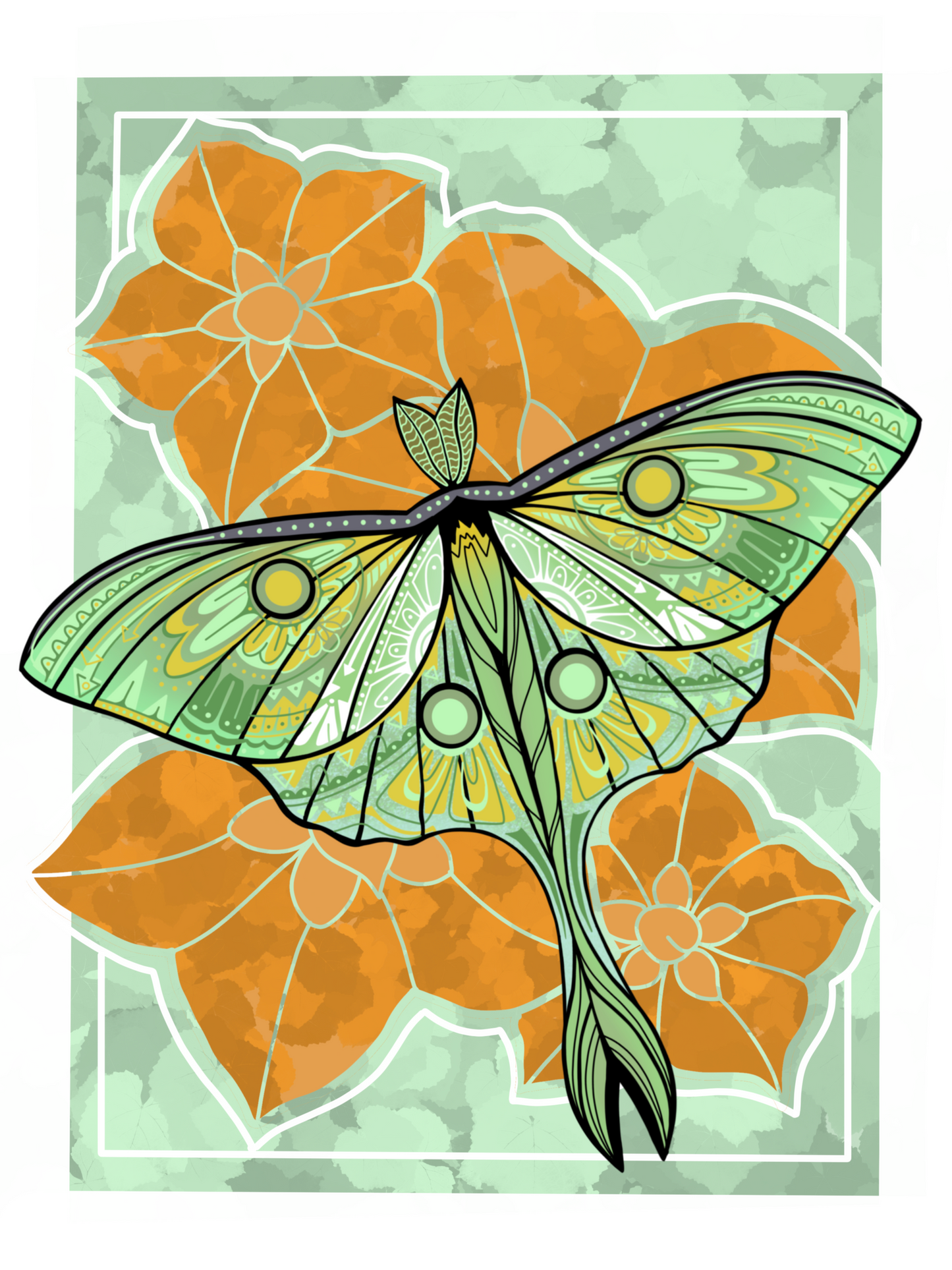 On the Backs of Moths